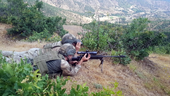 Terör örgütü PKK'ya Bitlis'te 'üst düzey' darbe